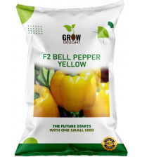 Bell Pepper F2 Yellow 10 grams 